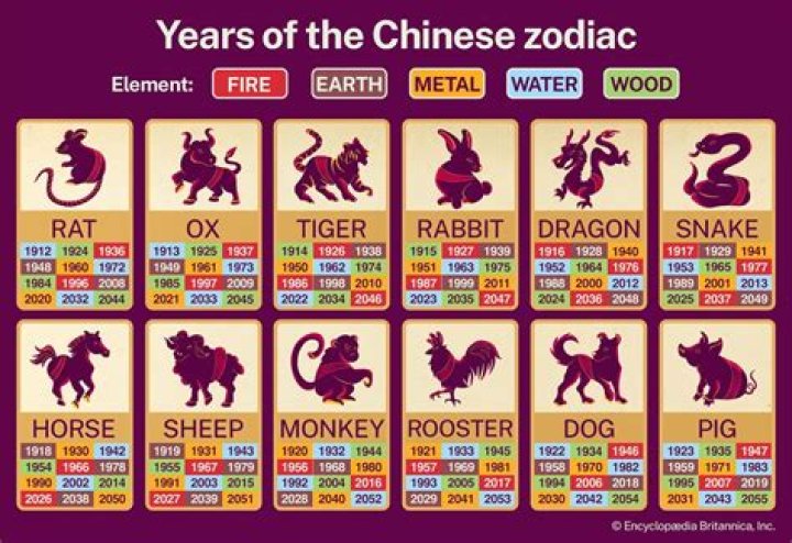 Understanding the 1970 Chinese Zodiac: The Year of the Metal Dog