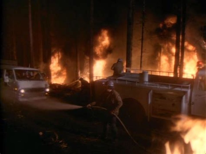 20 Products You Can Get for $51 or Less