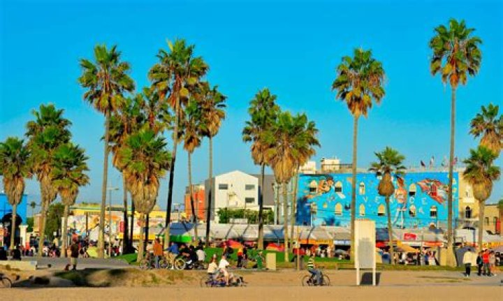 26 Stunning Beaches in Los Angeles You Must Visit