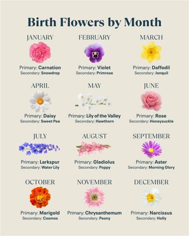 Understanding the Significance of April 20th Birth Flower
