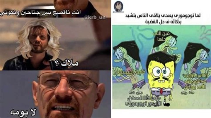Exploring the World of Arabic Memes: A Cultural Phenomenon