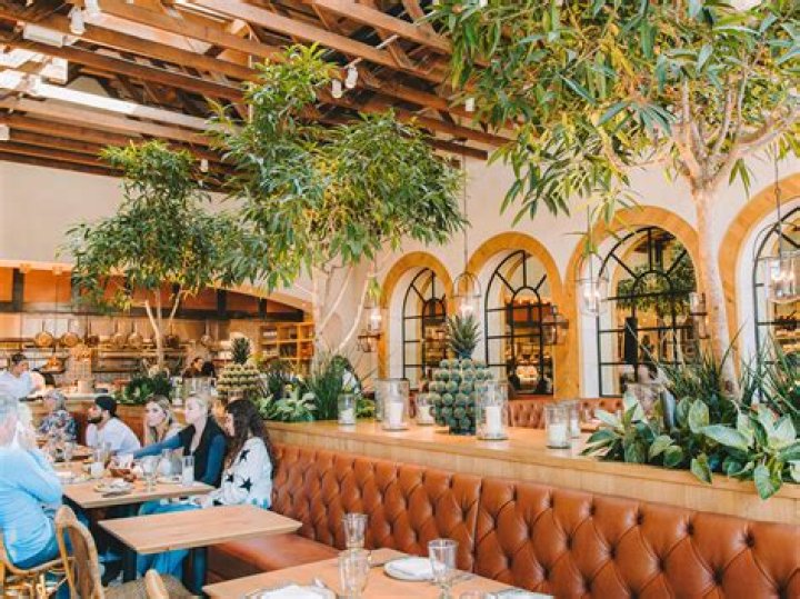 Armando's Mexican Restaurant in Detroit: A Culinary Journey Through Authentic Mexican Flavors