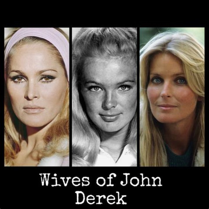 Bo Derek and Linda Evans: A Fascinating Look-Alike Connection