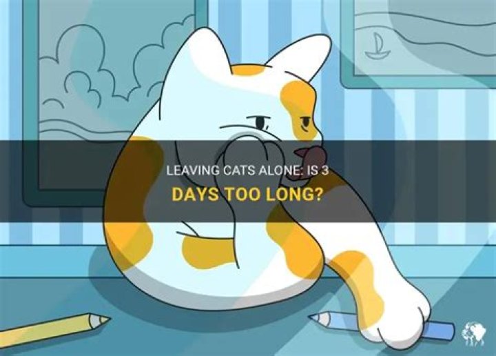 Can cats be left alone for 3 days?