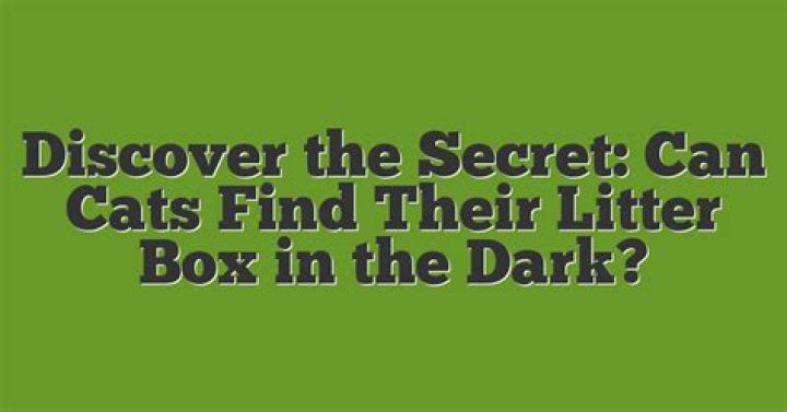 Can cats find their litter box in the dark?