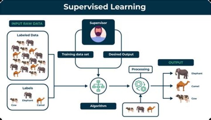 Can decision tree be unsupervised?