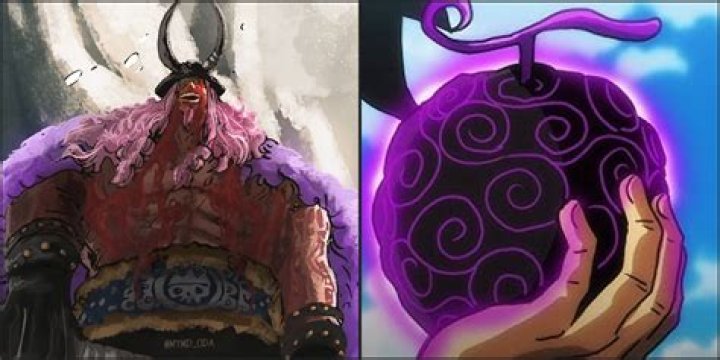 Can Luffy eat 2 Devil Fruits?
