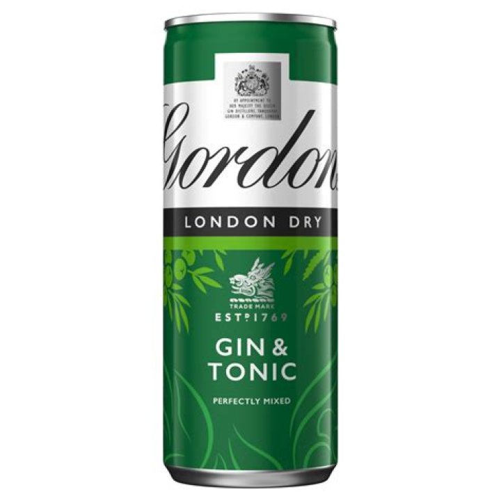 Can you freeze gin and tonic?