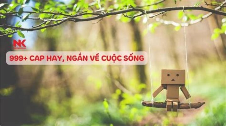 Cap Hay: The Essential Guide to Understanding Its Significance and Benefits