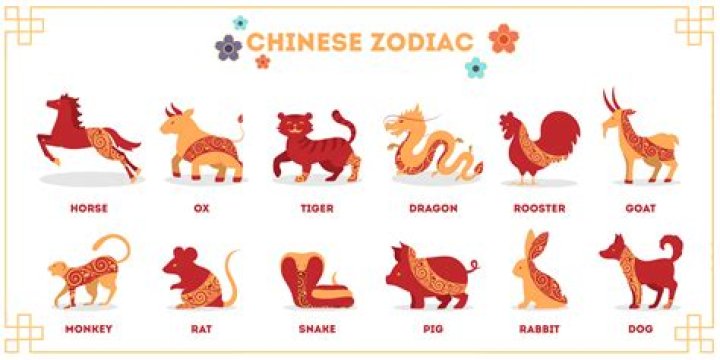 Understanding the Traits of the Chinese Dog Zodiac
