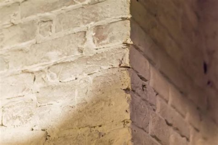 Understanding the Concept of 'Coner': A Comprehensive Guide