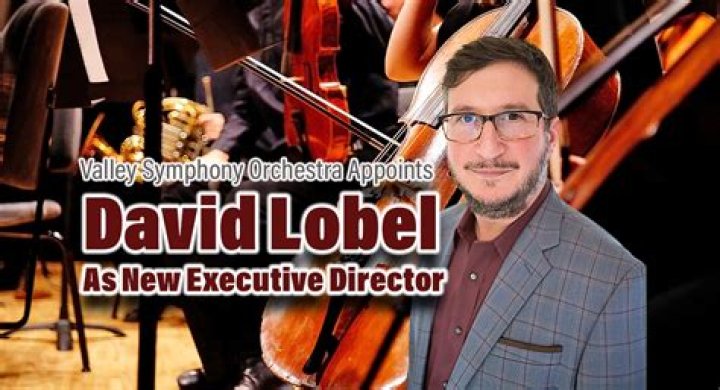 The Ultimate Guide to David Lobel