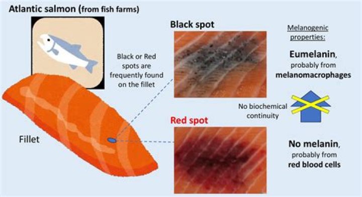 Do you eat the black skin on salmon?