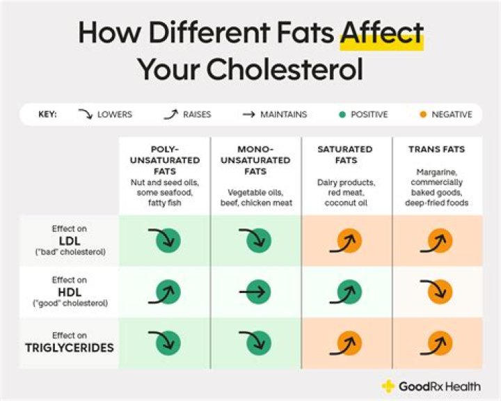 Does liver function affect cholesterol?