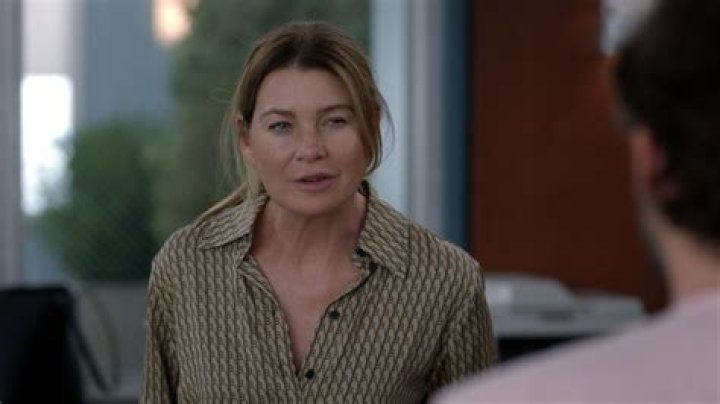 Does Meredith become chief?