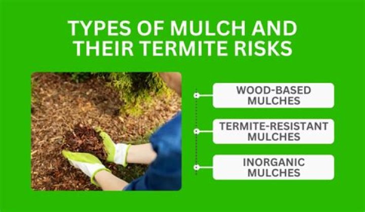 Does mulch cause mold?