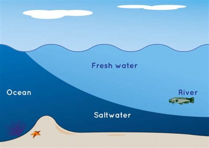Does river water and sea water mix?