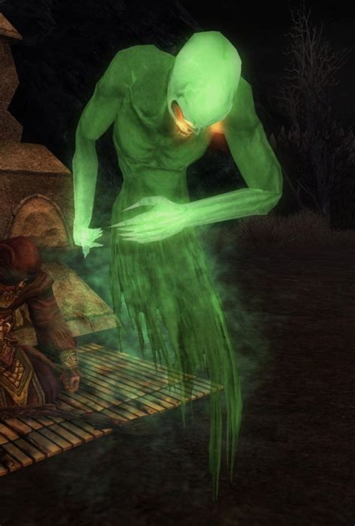 Unveiling the Enigmatic Nature of the Fell Spirit: A Comprehensive Guide