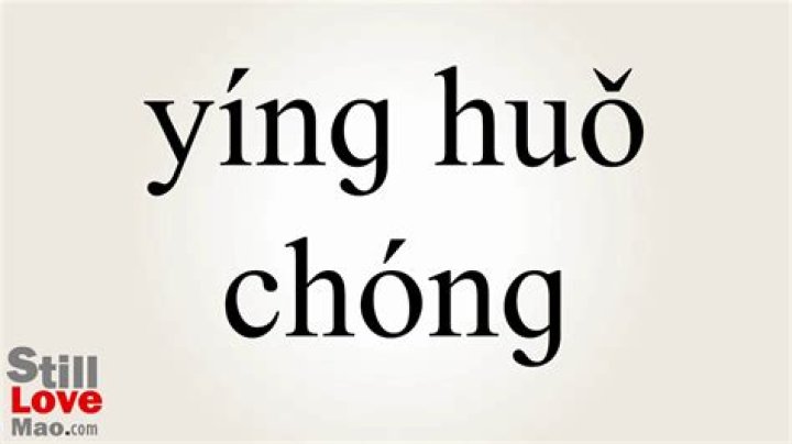 Discover the Fascinating World of Fireflies in Chinese