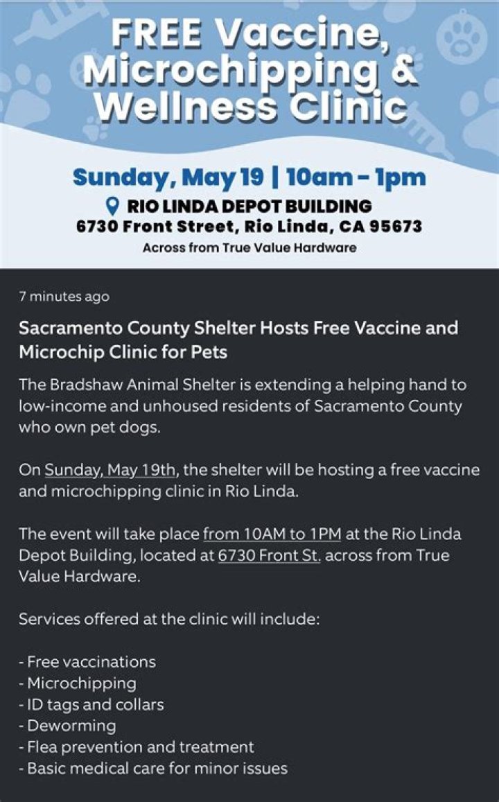 Front Street Animal Shelter: A Beacon of Hope for Animals in Need