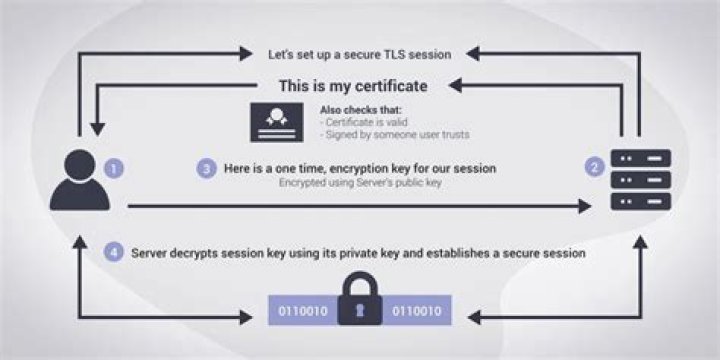 How do I find the TLS certificate of a website?