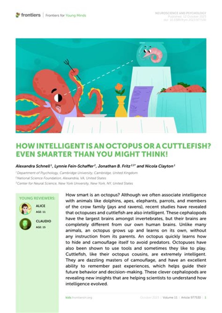How intelligent is an octopus?