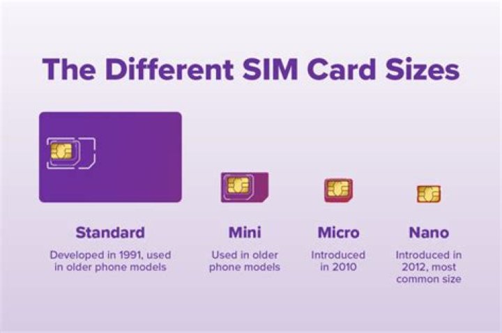 How many types of SIM cards are there?