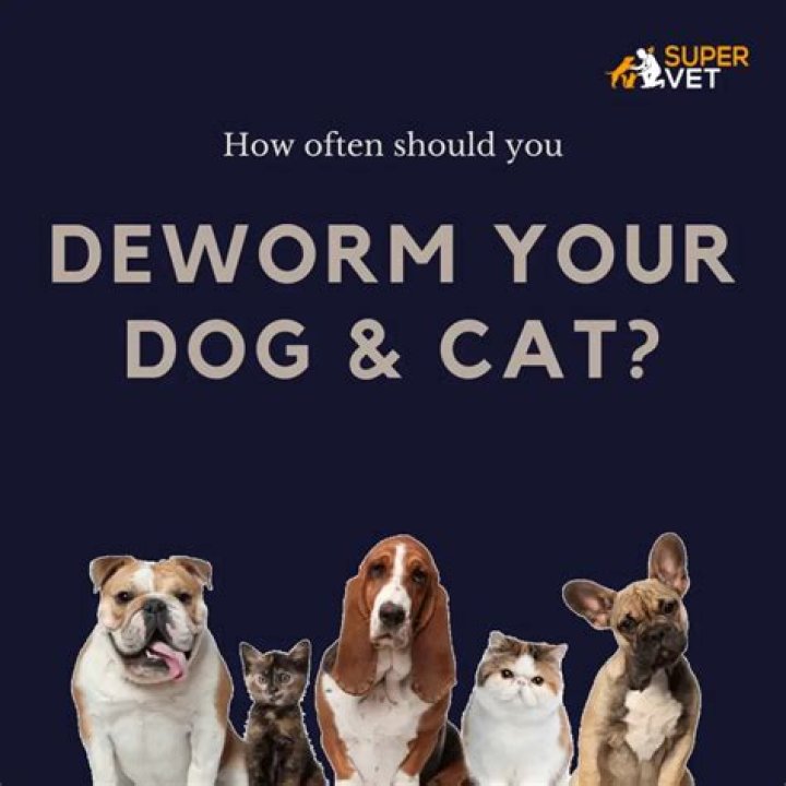How often can I Deworm myself?