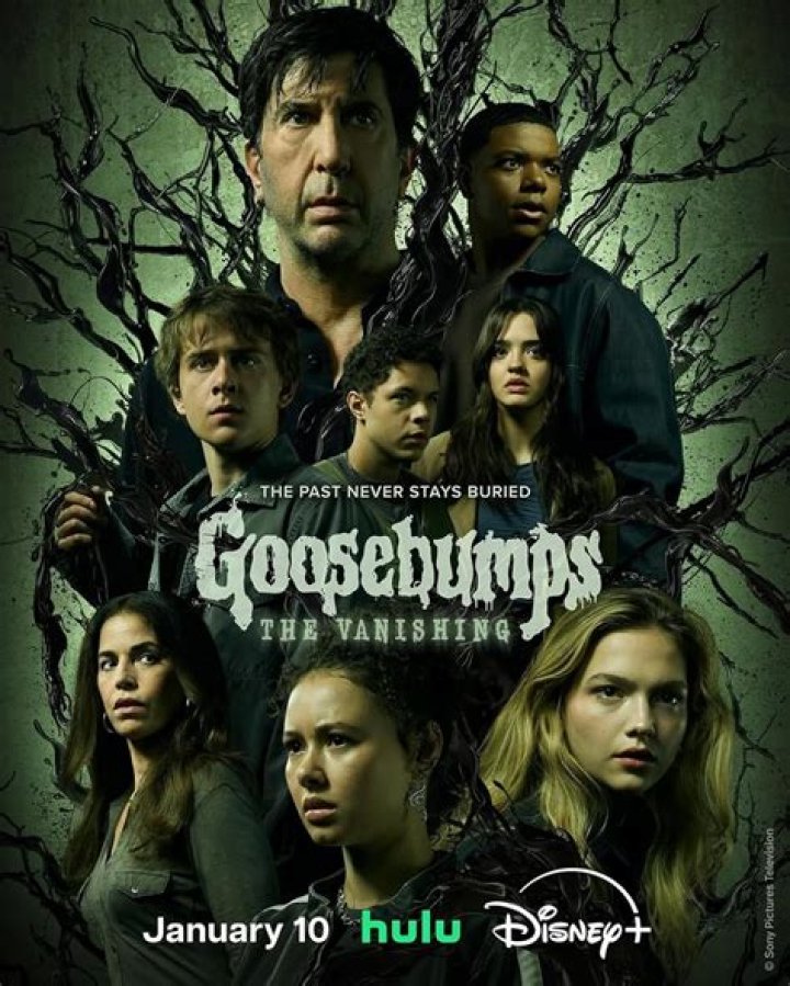 Is Goosebumps going to be on Disney plus?