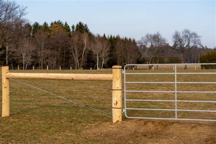 Is lime good for pasture?