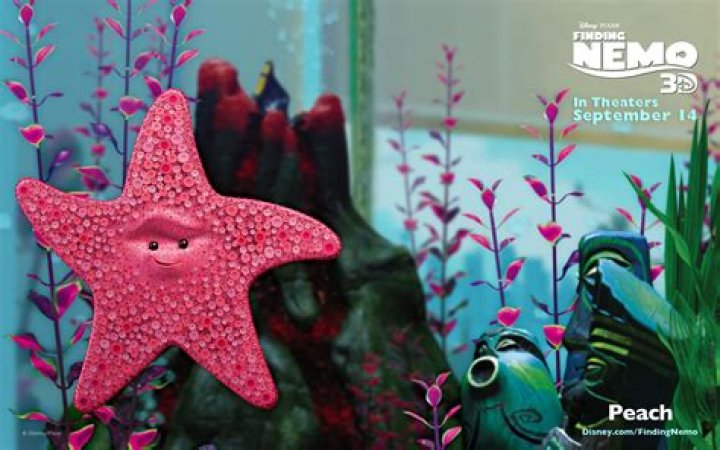 Is Peach from Nemo a girl or boy?