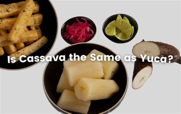 Is taro same as cassava?