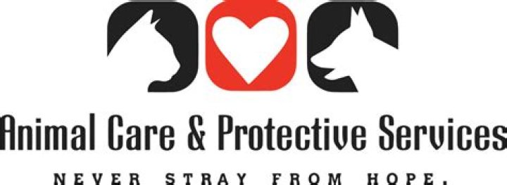 Jacksonville Animal Care & Protective Services: Ensuring the Welfare of Our Furry Friends