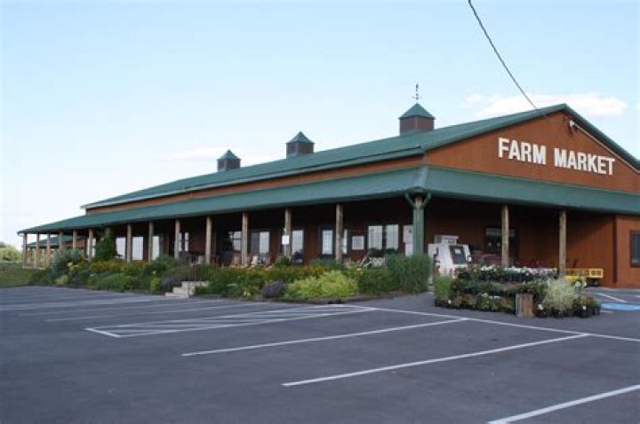 Marker Miller: A Comprehensive Guide to His Life and Work