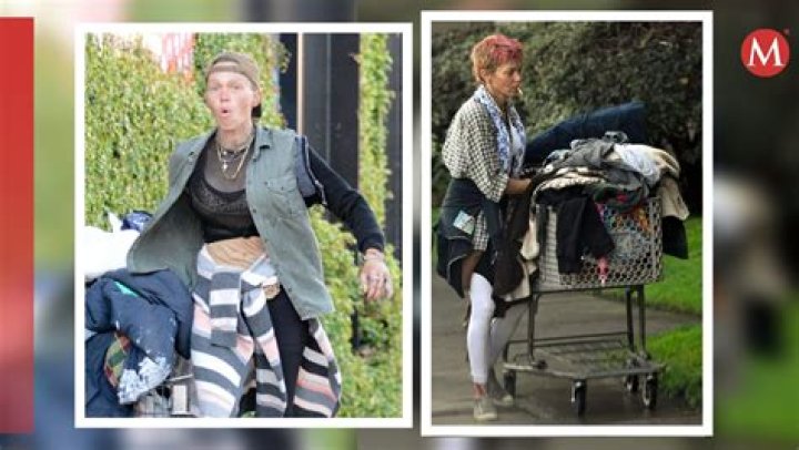 Exploring the Life and Career of Loni Willison: A Model's Journey