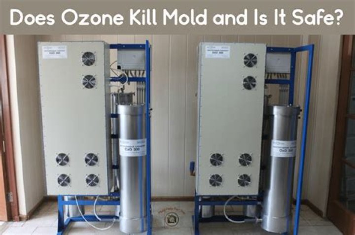 The Ultimate Mold Killer: Your Secret Weapon for a Healthy Home