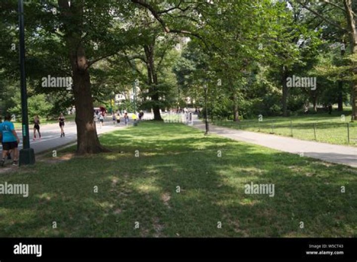 Exploring Nyac Central Park South: A Hidden Gem in the Heart of New York City