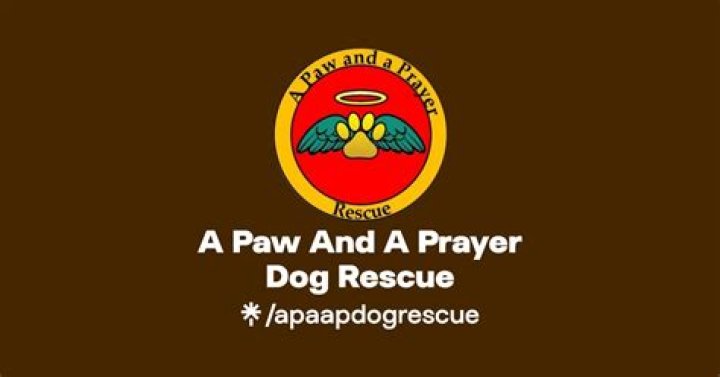 Paw and a Prayer: A Heartfelt Journey of Love and Compassion