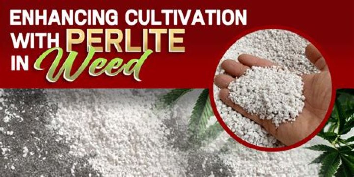 Discover the Amazing Benefits of Perlite for Healthy Weed Plants
