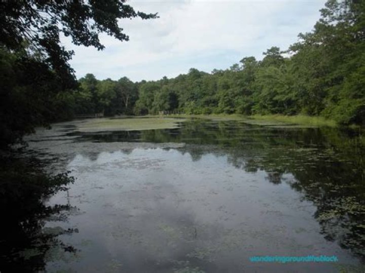 Explore the Enchanting Randall Pond: Discover its Serene Beauty