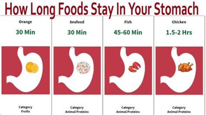 Should I sing on empty stomach?