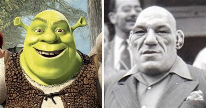 Shrek Inspiration: The Impact of a Beloved Character on Pop Culture