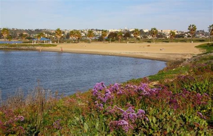 Discovering South Shores Park: A Hidden Gem in the Heart of Nature