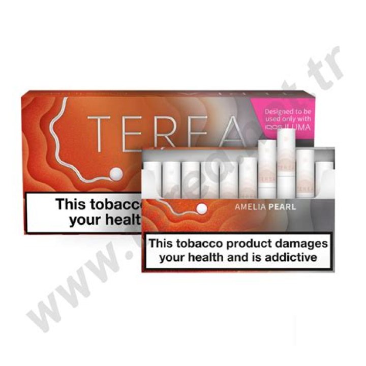 Tera Patrick: The Journey of an Adult Film Icon