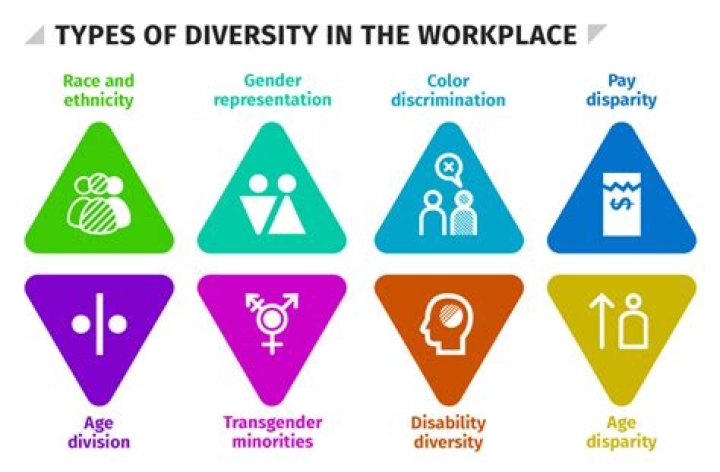 What are the 3 dimensions of diversity?