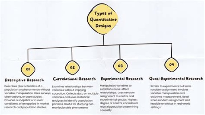 What are the two main types of research design?