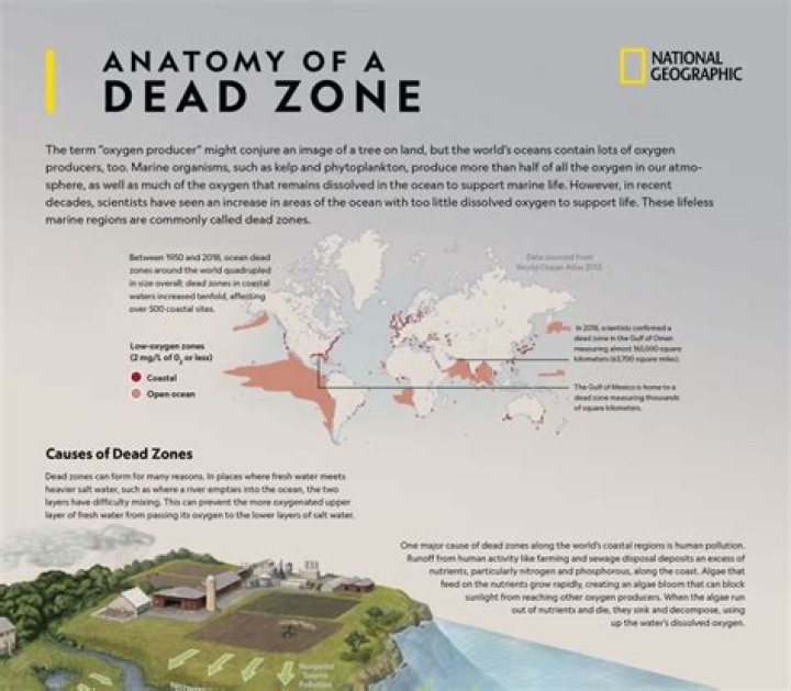 What caused the dead zone in the Gulf of Mexico?