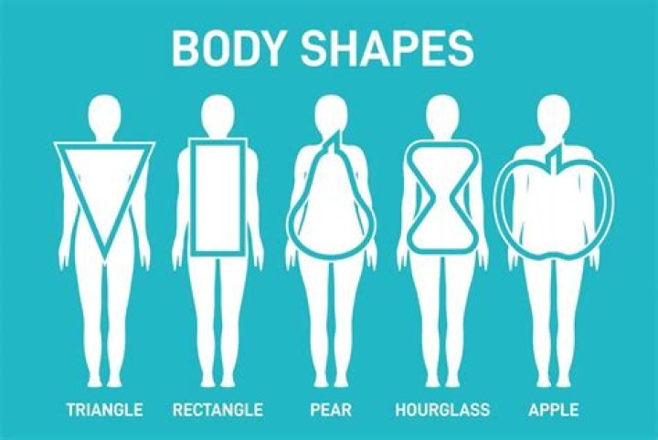 What determines your body shape?