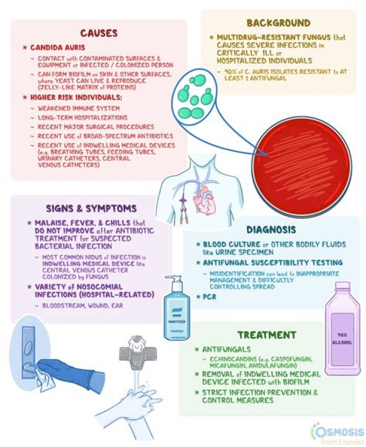 What does a Candida rash look like?