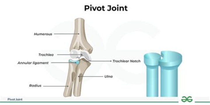 What does TWAX a joint mean?